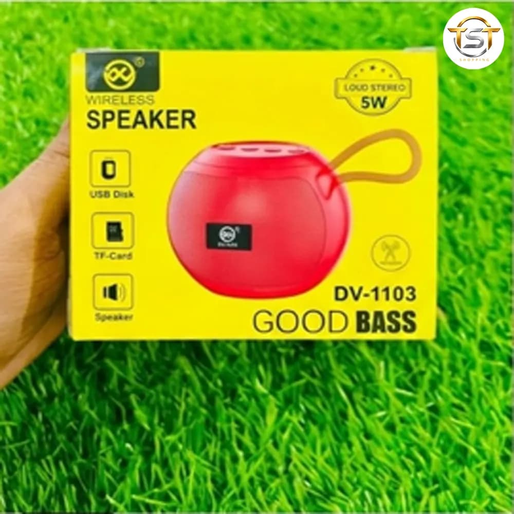 Wireless Speaker DV-03